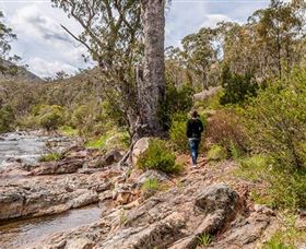 Old Mountain Road Walking Track - Accommodation Coffs Harbour 2