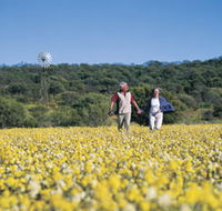 Koolanooka Springs - Accommodation Coffs Harbour