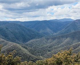 Black Perry Lookout - Accommodation Coffs Harbour 1