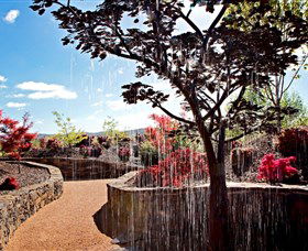 The Water Garden At Mayfield Garden - Accommodation Coffs Harbour 2