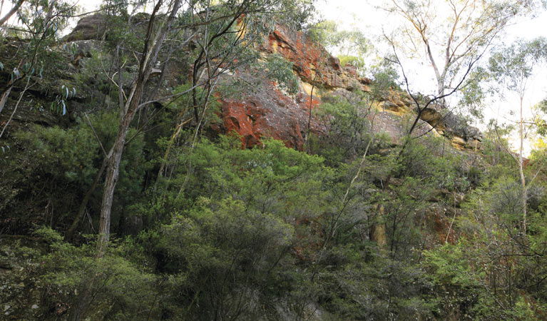 Littleton NSW Accommodation Coffs Harbour