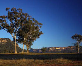 Capertee Valley Bird Trail - Accommodation Coffs Harbour 0
