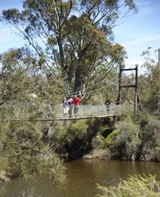 Avon Park - Accommodation Coffs Harbour 0