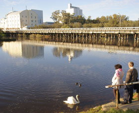Avon River - Accommodation Coffs Harbour 1