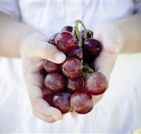 Granitevale  Estate Winery - Accommodation Coffs Harbour