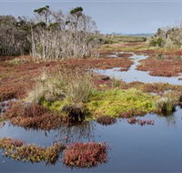 French Island National Park - Accommodation Coffs Harbour