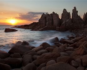 Phillip Island Nature Parks - Accommodation Coffs Harbour 6