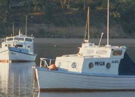 Western Port - Accommodation Coffs Harbour 0