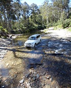 Aberfeldy Four Wheel Drive Track - Accommodation Coffs Harbour 1