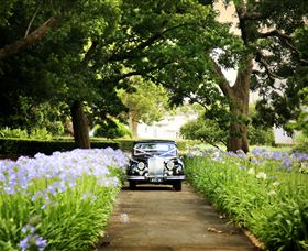 Queens Park, Toowoomba - Accommodation Coffs Harbour 3