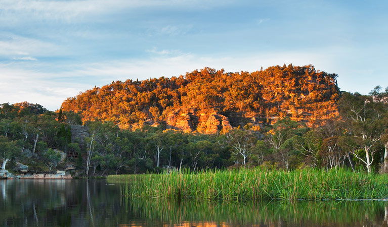 Wirraba NSW Accommodation Coffs Harbour