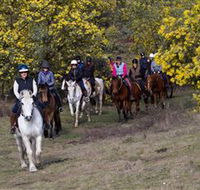 Burnelee Excursions on Horseback - Accommodation Coffs Harbour