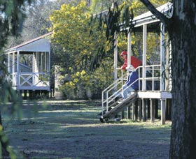 Dryandra Woodland - Accommodation Coffs Harbour 0