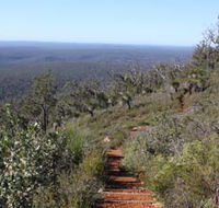 Mount Dale Walk Trail - Accommodation Coffs Harbour