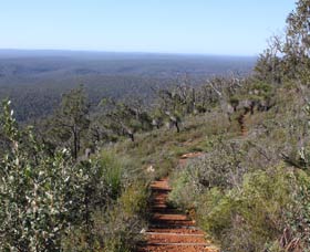 Mount Dale Walk Trail - Accommodation Coffs Harbour 0