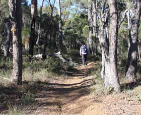 Mount Dale Walk Trail - Accommodation Coffs Harbour 2