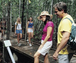 Toowoomba Water Bird Habitat - Accommodation Coffs Harbour 1