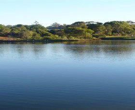 Toowoomba Water Bird Habitat - Accommodation Coffs Harbour 2