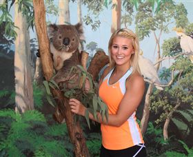 Maru Koala And Animal Park - Accommodation Coffs Harbour 0