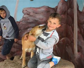 Maru Koala And Animal Park - Accommodation Coffs Harbour 3