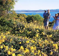 Joseph Banks Conservation Park - Accommodation Coffs Harbour
