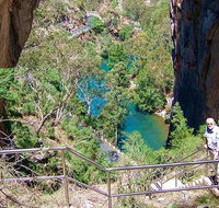 Carlotta Arch walking track - Accommodation Coffs Harbour