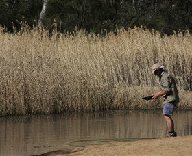 Wooldridge Recreation And Fossicking Reserve - Accommodation Coffs Harbour 2