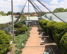 Canberra Walk In Aviary - Accommodation Coffs Harbour 2