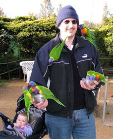 Canberra Walk In Aviary - Accommodation Coffs Harbour 0