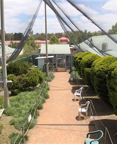 Canberra Walk In Aviary - Accommodation Coffs Harbour 3