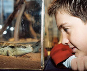 Canberra Reptile Zoo - Accommodation Coffs Harbour 0