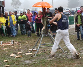 Lockyers Road Walking Track - Accommodation Coffs Harbour 0