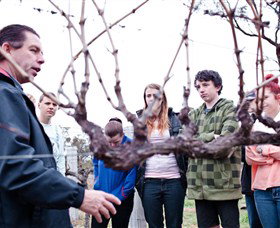 Varias Restaurant And Conference Centre Incorporating Banca Ridge Winery Cellar Door - Accommodation Coffs Harbour 3