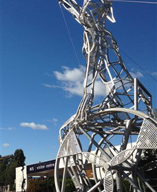 Australian Institute Of Sport (AIS) - Accommodation Coffs Harbour 0