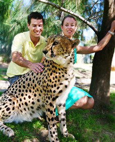 National Zoo & Aquarium - Accommodation Coffs Harbour 0