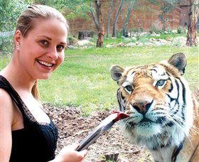 National Zoo & Aquarium - Accommodation Coffs Harbour 1