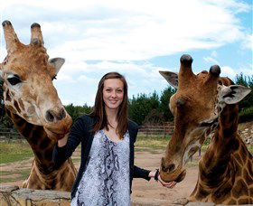 National Zoo & Aquarium - Accommodation Coffs Harbour 2