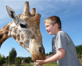 National Zoo & Aquarium - Accommodation Coffs Harbour 3