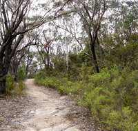 Six Foot walking track - Accommodation Coffs Harbour