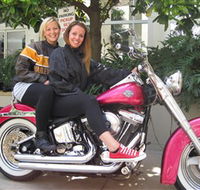 Wild Ride Harley and Motorcycle Tours - Accommodation Coffs Harbour