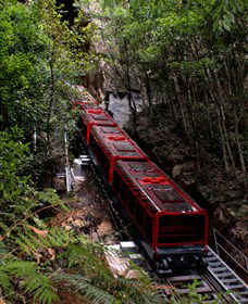 Andersons Tours - Accommodation Coffs Harbour 1