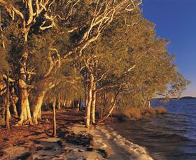 East Coast Adventure Bus - Accommodation Coffs Harbour 2