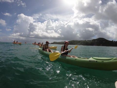 Cape Byron Kayaks - Accommodation Coffs Harbour 3