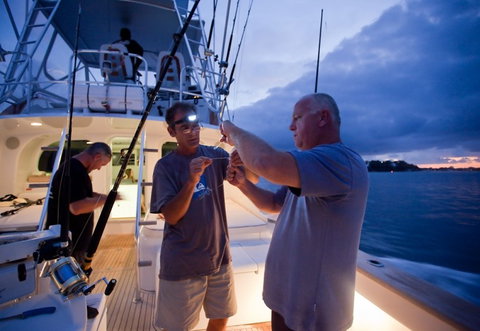 Amokura Charters - Accommodation Coffs Harbour 1