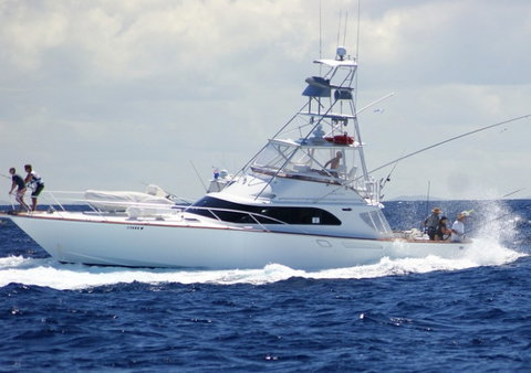 Amokura Charters - Accommodation Coffs Harbour 2