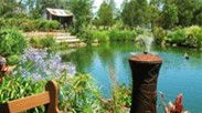 Gone Walkabout Safaris - Accommodation Coffs Harbour 0