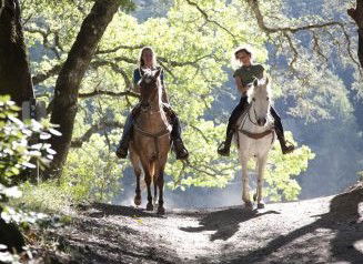 Hunter Valley Horse Riding And Adventures - Accommodation Coffs Harbour 1