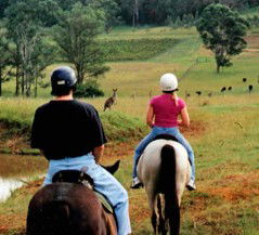 Hunter Valley Horse Riding And Adventures - Accommodation Coffs Harbour 3