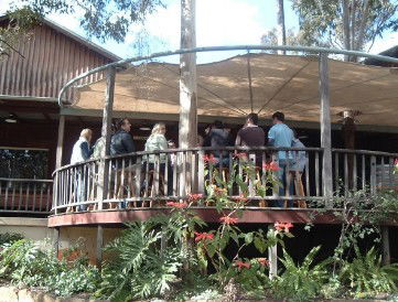 Hunter Vineyard Tours - Accommodation Coffs Harbour 0