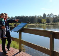 Hunter Wetlands Centre Australia - Accommodation Coffs Harbour